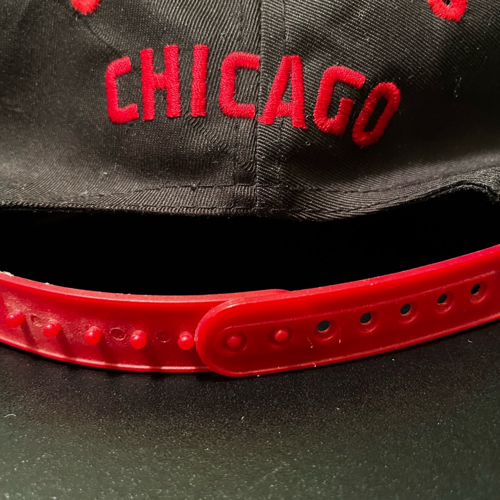 Chicago Bulls Bugs Bunny Logo SnapBack Cap - Picture 5 of 8